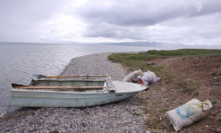 Мас абалында мыйзамсыз балык уулаган корукчу кармалды 