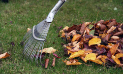 Бүгүн бүткүл дүйнөлү тазалык түнү