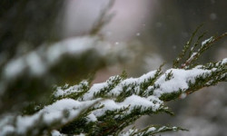 Шашылыш билдирүү! Бүгүн тоолуу райондорго кар жаашы күтүлөт