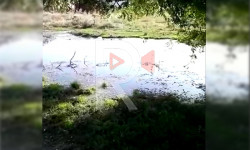 Турак үйлөрдөн чыккан саркынды суу көчөнү каптайт