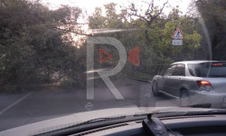 Бишкекте катуу шамал катталды