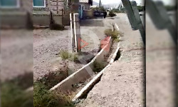 Балыкчы: арыктар сапатсыз салынган