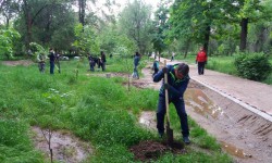 “Журналисттердин аллеясында” көчөттөр отургузулду