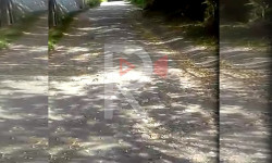 Тар жолдон түйшүк тарткан эл