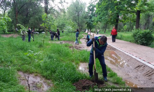 Во Всемирный день свободы печати на аллее журналистов прошел субботник