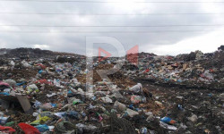 Кара-Балтанын таштанды полигону эгин талааларына чейин жайылып кетти