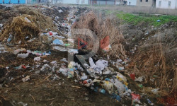 Терек-Суу айылын каптаган таштандылар