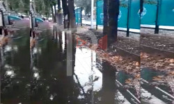 Жибек-Жолу менен Фучик көчөсүнүн кесилишиндеги тротуарды каптаган суу