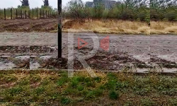  Чыңгыз Айтматов көчөсүндөгү курулуш үчүн кыйылган бак-дарактар