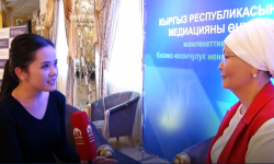 Коммерциялык медиация. Медиациянын коомдогу орду