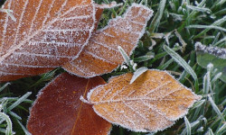 ӨКМ: өлкө аймактарында үшүк жүрүшү күтүлөт  