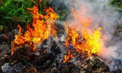 Манас айылындагы таштандыларды өрттөгөндөр