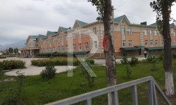 Чаңга сапырылган Ала-Тоо конушунун жолдору