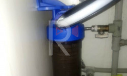 Каракол: крандан суу ичүү кооптуу 