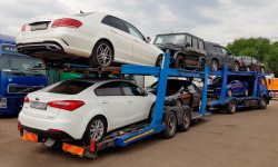 Унаага бажы төлөмдөрүн көбөйтпөөгө мүмкүнчүлүк бар 