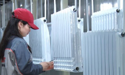 Мамлекет ишкерликти өлкө экономикасынын өзөгү катары карап жатат