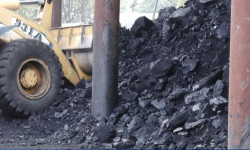 Кышка камылга башталды