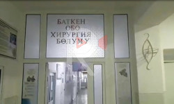 Баткен: эмне үчүн дарыгерлер көрсөтүлгөн тартипте иштешпейт?