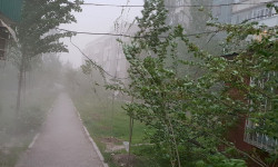 Шашылыш билдирүү! Бишкек менен Чүйдө катуу шамал болот  