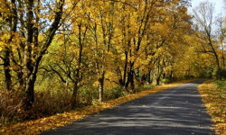 Ноябрь айында жылуу аба ырайы күтүлөт