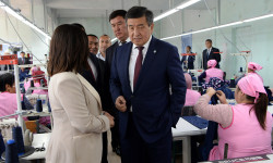 Президент Жалал-Абад облусундагы бир катар ишканалардын ишмердүүлүгү менен таанышты 