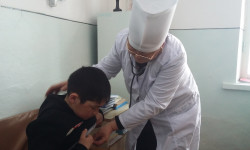 Чет элдик дарыгерлер өпкө ооруларына каршы күрөшүүгө жардам берет