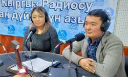 "Санарип 50+” долбоору