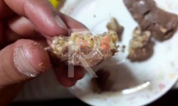 Шоколаддын ичинен курт чыкты