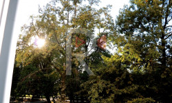 Биринчи май районундагы паркта салынып жаткан курулуш мыйзамдуубу?