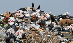 Жайыт жерлер таштандыга айланды