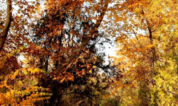 Кыргызстандыктар ноябрда төрт күн эс алат