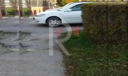 Каракол: тротуарды ээлеген айдоочулар