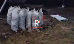 Ак-Ордо: Көмүр кымбат сатылууда