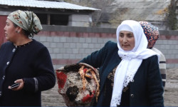 Мекенине кайткан этникалык кыргыздардын саны көбөйүүдө