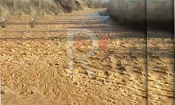 Чаткал дарыясы булганууда