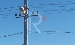 Кашат айылынын жаңы конушунда жарык маселеси чечилбей келет