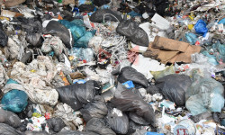 Токмок: чачылган таштандыларды ким тазалайт?