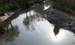 Арыктан суу ичкен тургундар