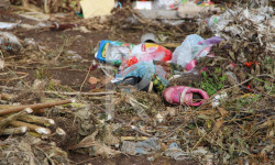 Кара-Көл: таштанды таштагандарга чара көрүлсө...