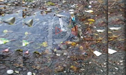 Өзгөн: сууну ысырап кылбайлы...