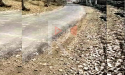 Сарбан айылындагы асфальтталган жол аягына чыккан жок