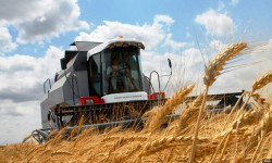 Бүгүн айыл чарба кызматкерлеринин кесиптик майрамы