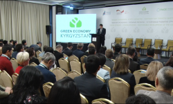 "Жашыл экономиканын" негизги жети багыты белгиленди 