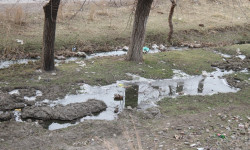 Токтогул: мал соючу жайдын саркынды суулары көчөнү каптайт