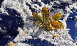 Өлкөдө 20-24-ноябрга чейин туруксуз аба ырайы күтүлөт