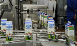 Аймактарды өнүктүрүүнүн артыкчылыгы