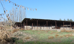 «Ветка» кооперативинин төрагасын тандоодо келишпестиктер жаралды