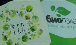 Дүйнөдөгү таштандылардын жарымын желим буюмдар түзөт  