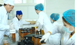 Инвестициянын агымы көбөйдү