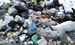 Жалал-Абад: таштандыларга көңүл бурулбай калды